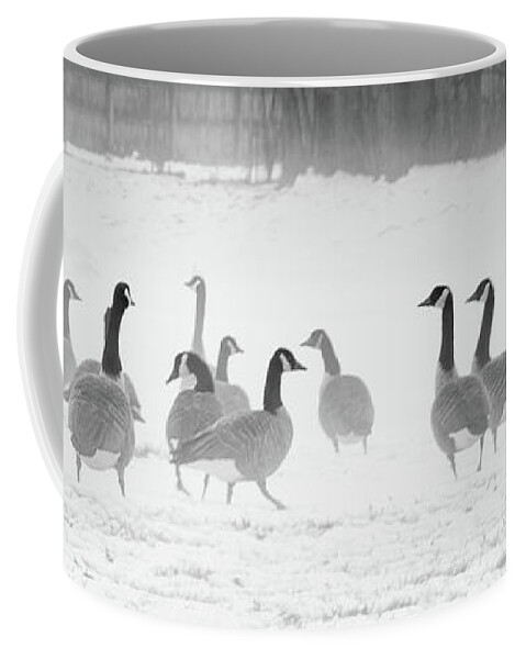 Canadian Geese Coffee Mug featuring the photograph Canadian Geese by JCV Freelance Photography LLC