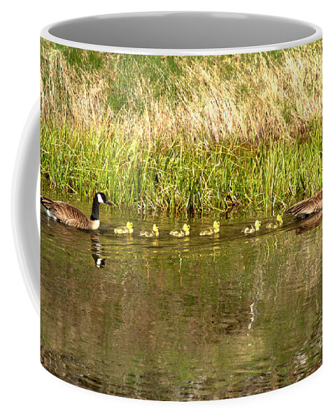 Canadian Goose Coffee Mug featuring the photograph Canadian Geese Navigating The Snake River by Adam Jewell