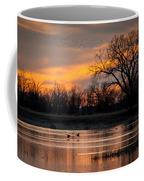Sunset Coffee Mug featuring the photograph Canadians Under the Radar by Jeff Phillippi