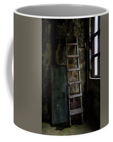 Iceland Coffee Mug featuring the photograph Cannery Ladder by Tom Singleton