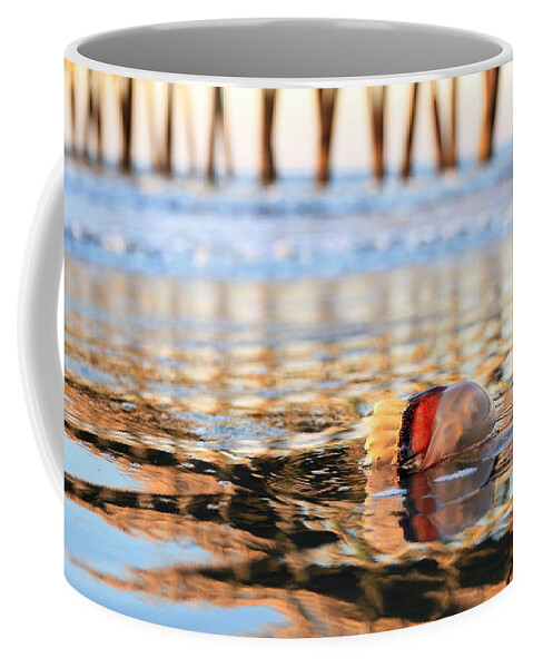 Jellyfish Coffee Mug featuring the photograph Cannonball Jellyfish Beached by Carol Montoya