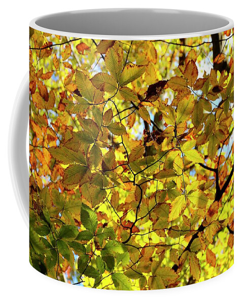 Autumn Coffee Mug featuring the photograph Canopy of Autumn Leaves by Angie Tirado
