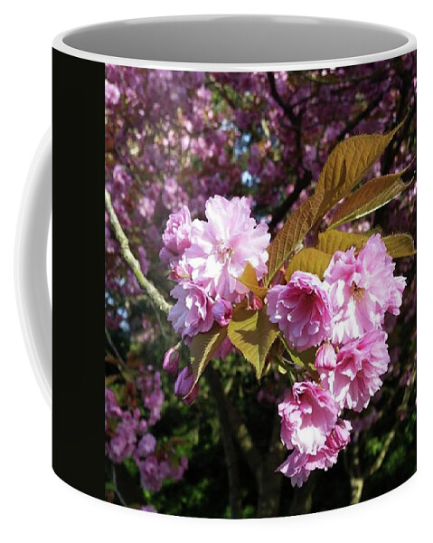 Love Coffee Mug featuring the photograph Blossom Branch by Rowena Tutty