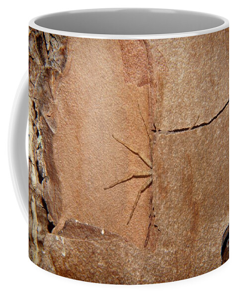 Spider Coffee Mug featuring the photograph Can't See Me by Lynda Dawson-Youngclaus