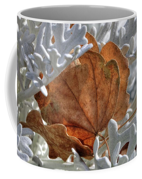 Canvas Leaves Coffee Mug featuring the photograph Canvas Leaves by David Andersen