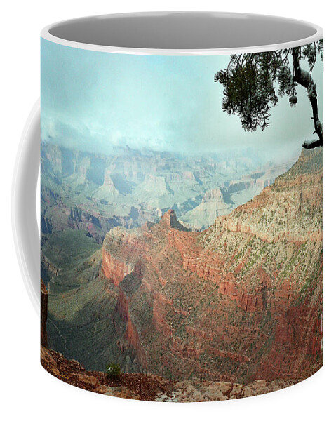 Grand Canyon Coffee Mug featuring the photograph Canyon Captivation by Debby Pueschel