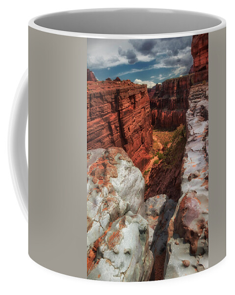 Canyon Lands Coffee Mug featuring the photograph Canyon Lands Quartz falls overlook by Gary Warnimont