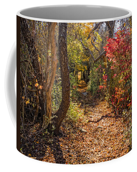 Barnstable Coffee Mug featuring the photograph Cape Cod Path by Frank Winters