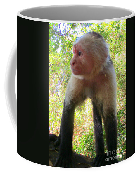 Capuchin Monkey Coffee Mug featuring the photograph Capuchin Monkey 2 by Randall Weidner