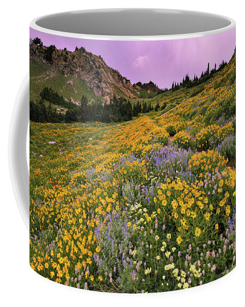 Utah Coffee Mug featuring the photograph Cardiff Pass Sunset and Wildflowers - Alta, Utah by Brett Pelletier
