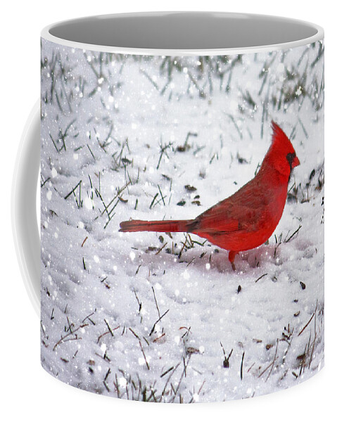 Bird Coffee Mug featuring the photograph Cardinal in the snow by Suzanne Stout