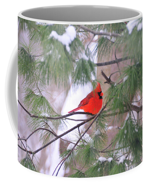 Red Bird Coffee Mug featuring the photograph Cardinal in Winter by David Arment