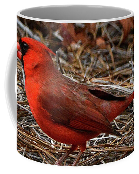 Cardinal Coffee Mug featuring the photograph Cardinal on Pine Straw by Jerry Griffin