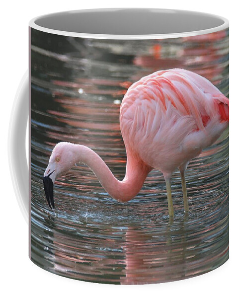 Flamingo Coffee Mug featuring the photograph Caribbean Coral Colors by Living Color Photography Lorraine Lynch