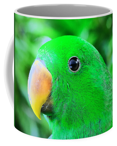 Parrots Coffee Mug featuring the photograph Carlos Avila by Carlos Avila