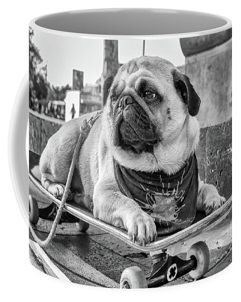 Pug Coffee Mug featuring the photograph Carlos de Barcelona by Becqi Sherman