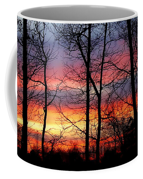 Sunset Coffee Mug featuring the photograph Carolina Sunset by Sue Melvin