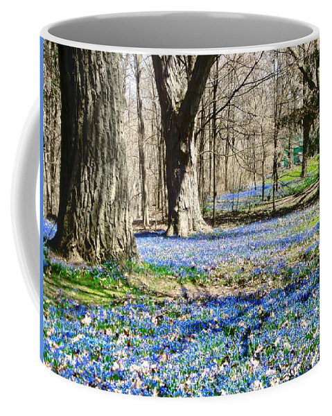 Flowers Coffee Mug featuring the photograph Carpet of Blue by Stephanie Moore
