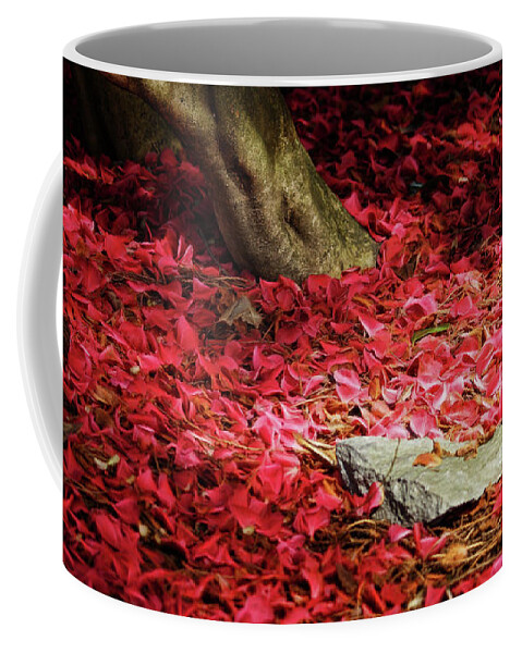 Flowers Coffee Mug featuring the photograph Carpet of Petals I by Cameron Wood