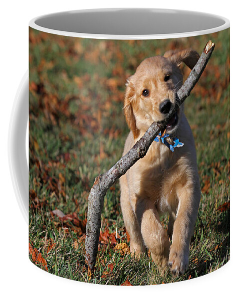 Puppy Coffee Mug featuring the photograph Carring the Load by Juergen Roth