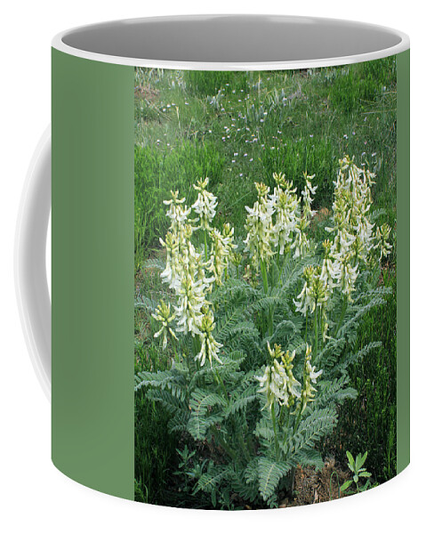 Case's Fitweed Coffee Mug featuring the photograph 2D14252-Case's Fitweed by Ed Cooper Photography