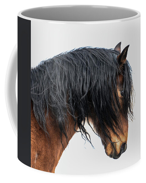 Horses Coffee Mug featuring the photograph Cash by Pamela Steege