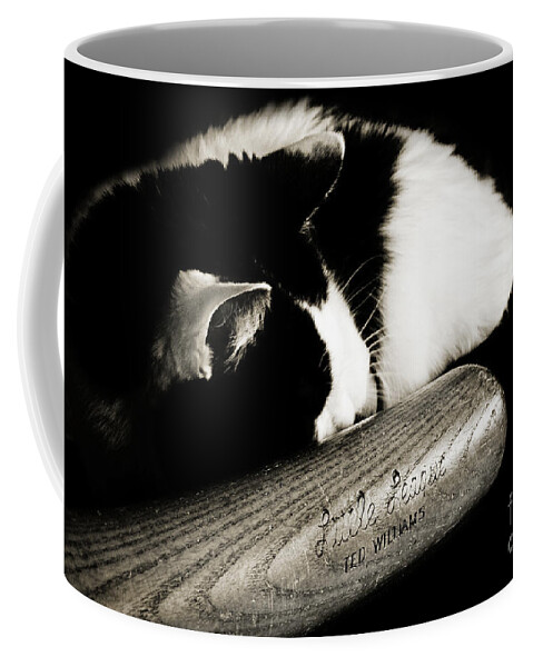 Fine Art Cat Coffee Mug featuring the photograph Cat and Bat by Andee Design