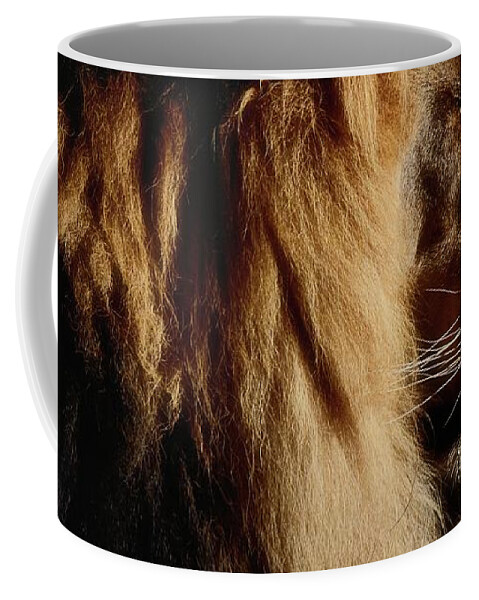Male Lion Profile Coffee Mug featuring the photograph Cat Nap for a King by Debra Sabeck