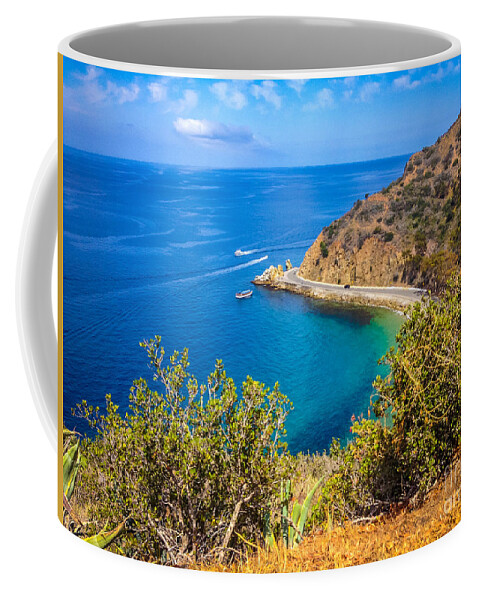 America Coffee Mug featuring the photograph Catalina Island Lover's Cove Picture by Paul Velgos