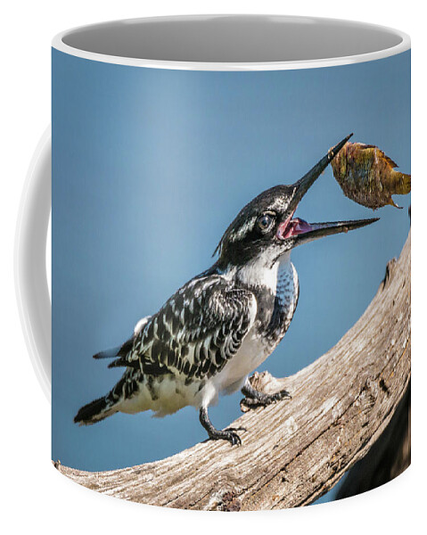 Africa Coffee Mug featuring the photograph Catch by James Capo