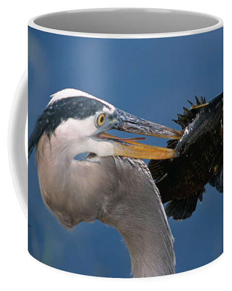 Great Blue Heron Coffee Mug featuring the photograph Catch of the Day by John Harmon