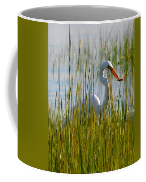 Bird Coffee Mug featuring the photograph Catching a Bite by Colleen Phaedra