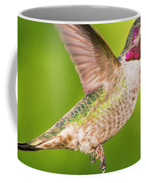 Catching Air Coffee Mug featuring the photograph Hummingbird Catching Air Large Canvas Art, Canvas Print, Large Art, Large Wall Decor, Home Decor by David Millenheft