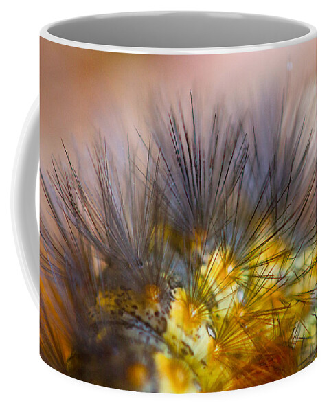 Bug Coffee Mug featuring the photograph Caterpillar Hair by SR Green