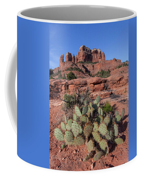 Cathedral Rock Coffee Mug featuring the photograph Cathedral Rock Cactus Grove by Lon Dittrick