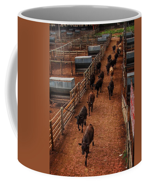 Alley Coffee Mug featuring the photograph Cattle in the Alley by Buck Buchanan