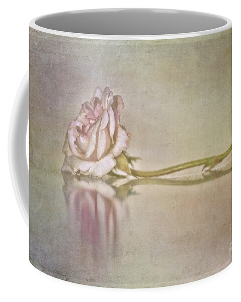 Rose Coffee Mug featuring the photograph Cecile Brunner by Linda Lees