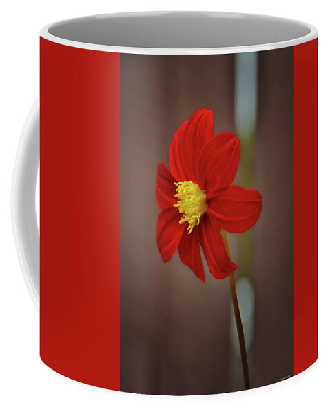 Flower Coffee Mug featuring the photograph Centerpiece - Red Dahlia 005 by George Bostian