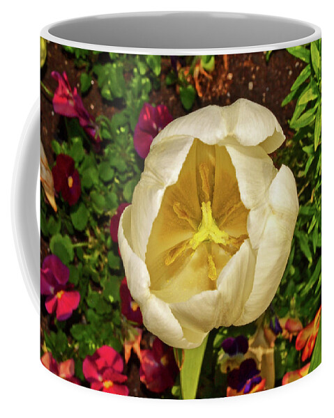 White Coffee Mug featuring the photograph Centerpiece - White Tulip 005 by George Bostian