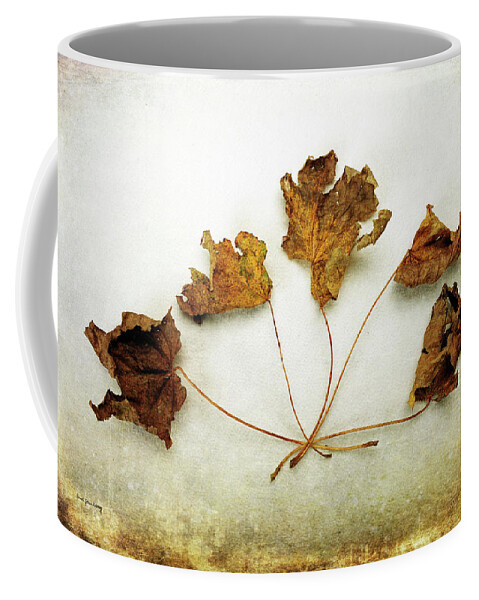 Textures Coffee Mug featuring the photograph Changes by Randi Grace Nilsberg