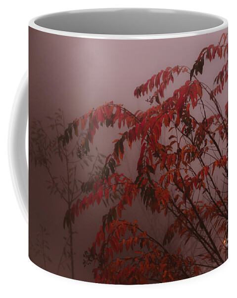 Fall Coffee Mug featuring the photograph Changing Colors even in the Fog -Georgia by Adrian De Leon Art and Photography