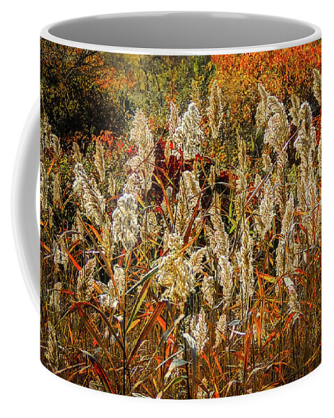 Nature Coffee Mug featuring the photograph Changing Season by Robert Mitchell
