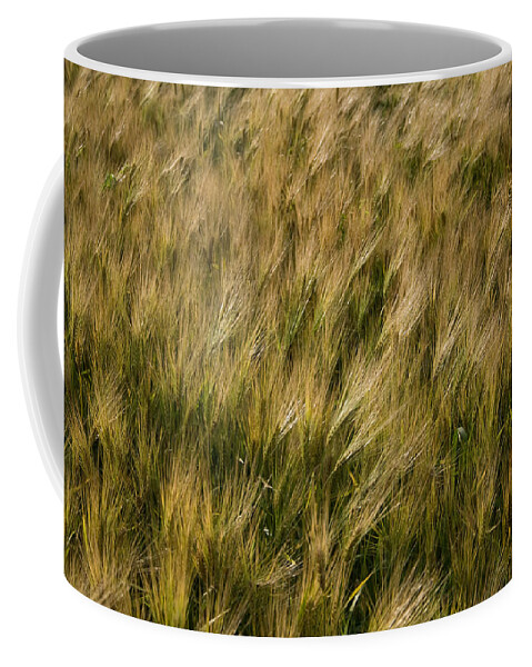 Changing Wheat Coffee Mug featuring the photograph Changing Wheat by Dylan Punke
