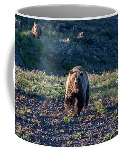 Grizzly Bear Coffee Mug featuring the photograph Charging Grizzly by Mark Miller