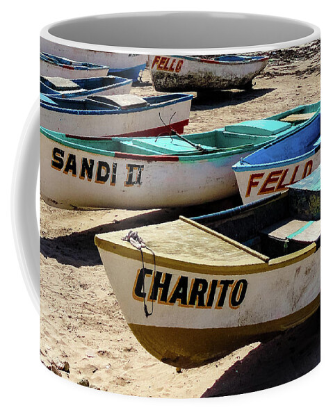 Mexico Coffee Mug featuring the photograph Charito by Tim Dussault