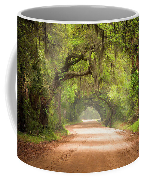 Dirt Road Coffee Mug featuring the photograph Charleston SC Edisto Island Dirt Road - The Deep South by Dave Allen