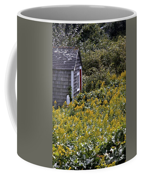 Yellow Flowers Coffee Mug featuring the photograph Chatham Shed by Jim Gillen