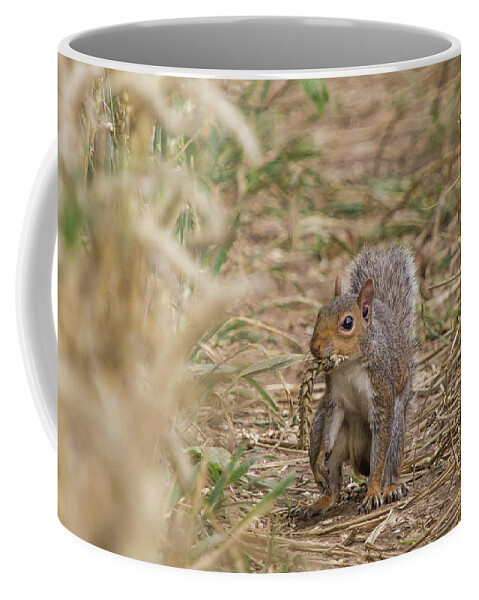Squirrel Coffee Mug featuring the photograph Cheeky by Wendy Cooper