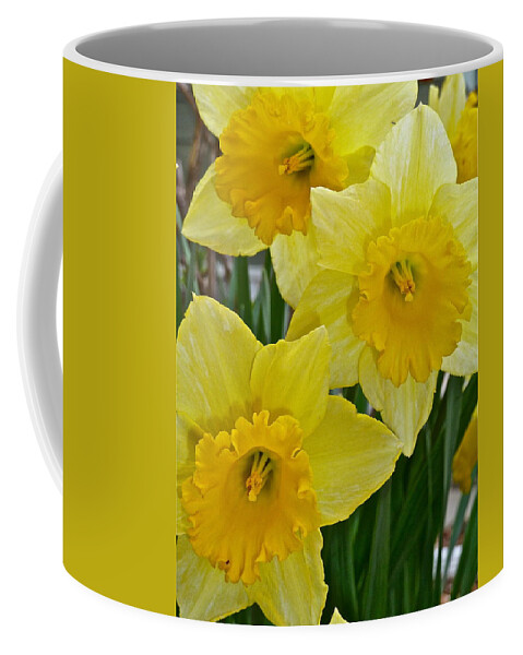 Flowers Coffee Mug featuring the photograph Cheer Up by Diana Hatcher