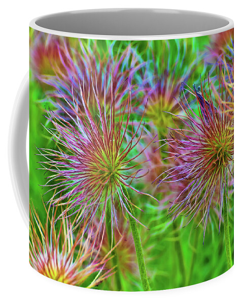 Beauty In Nature Coffee Mug featuring the photograph Cheerful Electric Blooms by Dee Browning